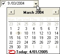 monthtip1